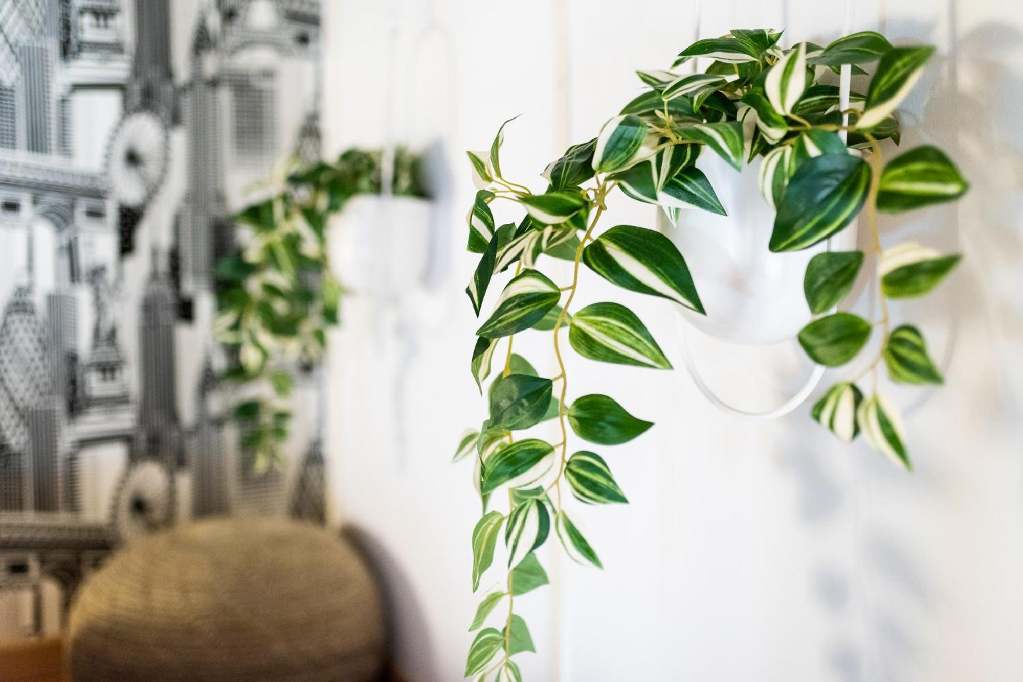 Apartamento Con Encanto, Centro Granada Ngoại thất bức ảnh