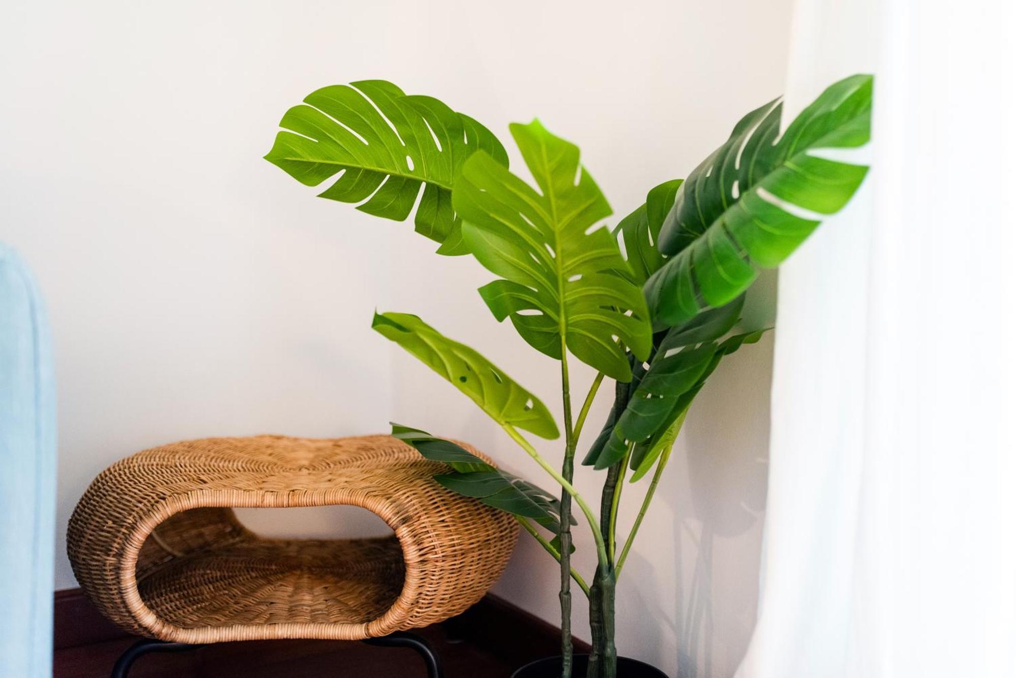 Apartamento Con Encanto, Centro Granada Ngoại thất bức ảnh